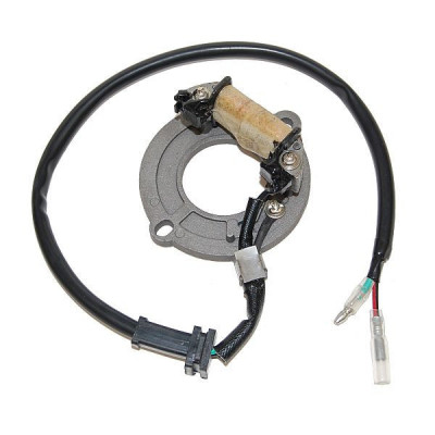 Electrosport ESC1631 Stator Honda CR80