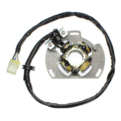 Electrosport ESC221 Stator KTM65/85/105 4-Pole