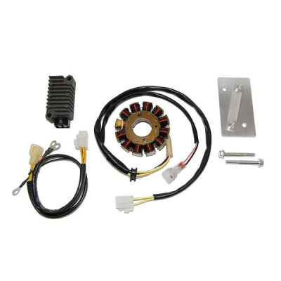 Electrosport ESK145 Stator Hi Power Kit KTM450/525 - 250W ESG145/ESR080/KT-100