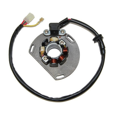 Electrosport ESL239 Lighting Stator - KTM (06-ON)